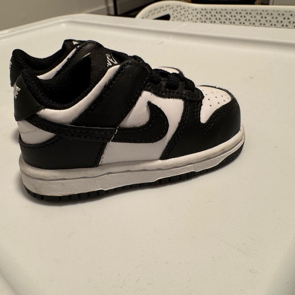 Baby Panda Dunks 4c